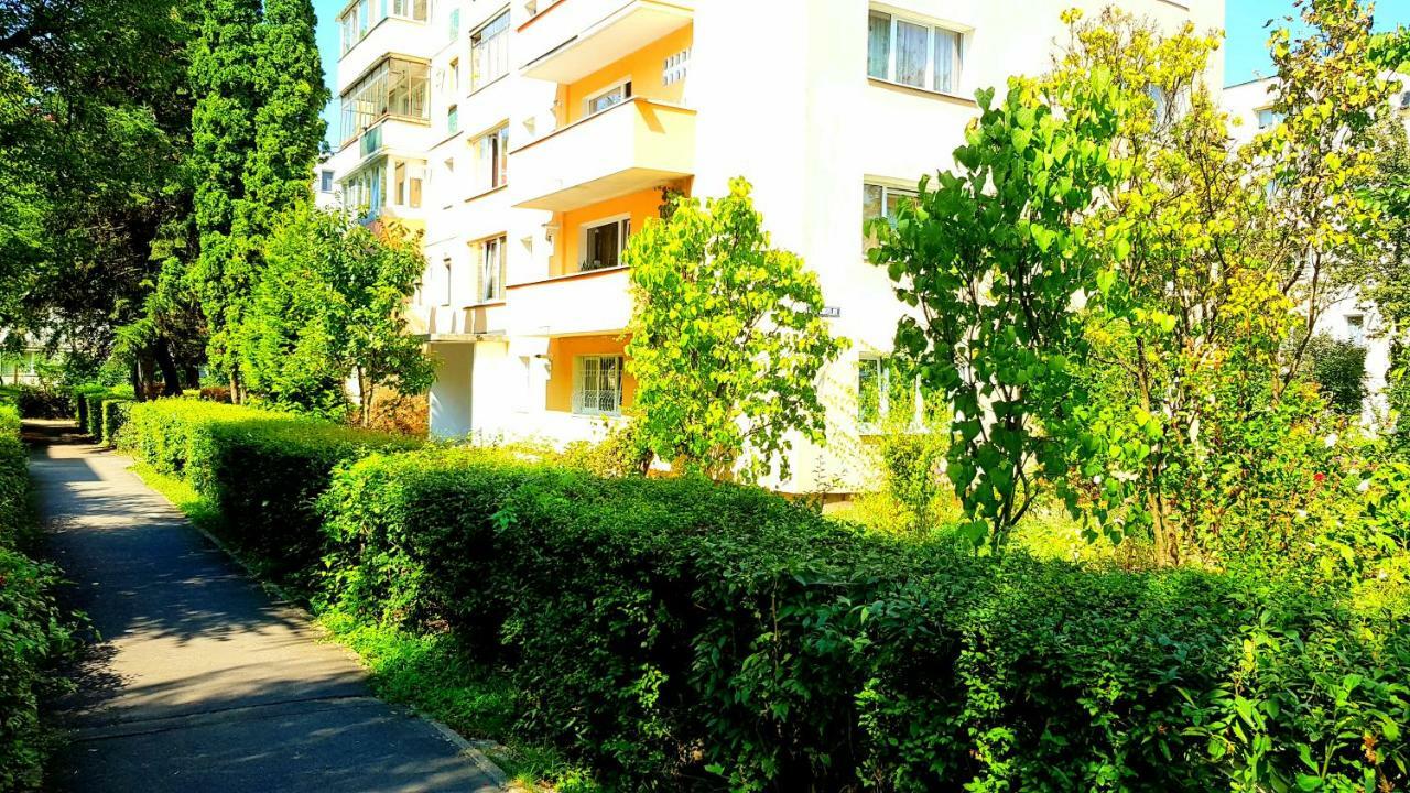Luxury Paul Apartment Green, Private & Accessible Brašov Exteriér fotografie